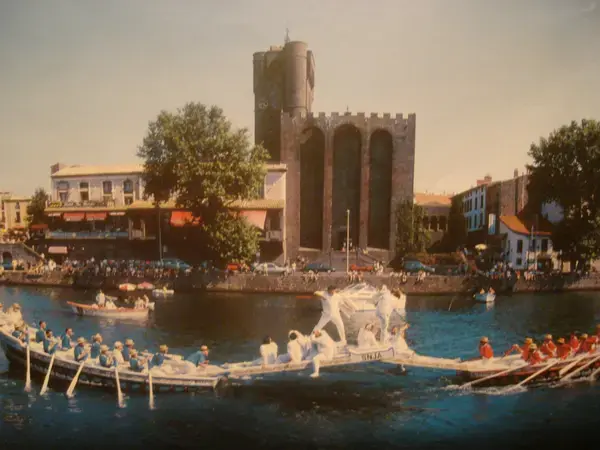 Monte Escalier Qualité Pose monte escalier Agde