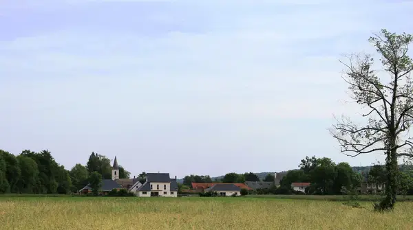 Monte Escalier Qualité Pose monte escalier Allier