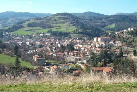 Monte Escalier Qualité Pose monte escalier Bourg-Argental