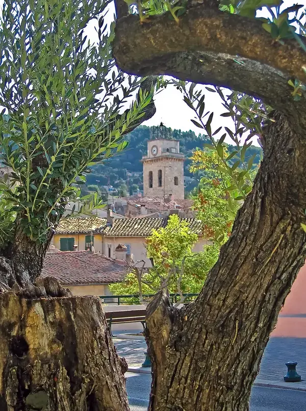 Monte Escalier Qualité Pose monte escalier Ceyreste