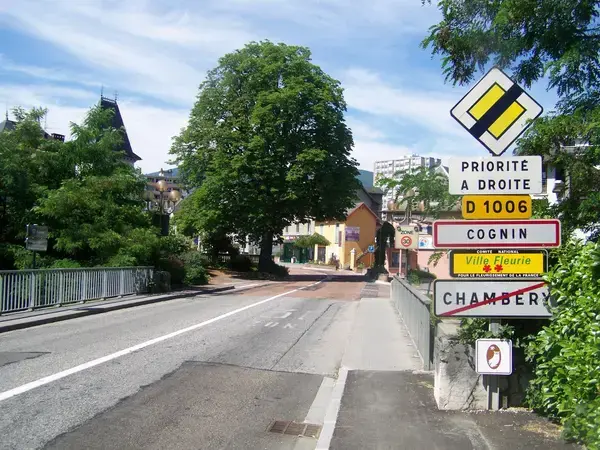 Monte Escalier Qualité Pose monte escalier Cognin