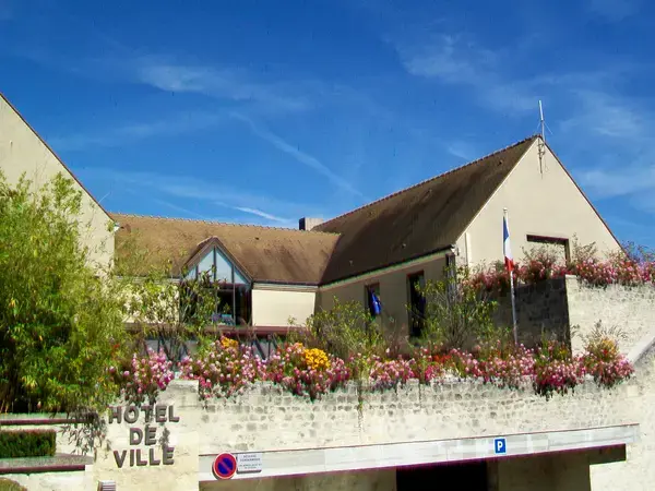 Monte Escalier Qualité Pose monte escalier Courdimanche
