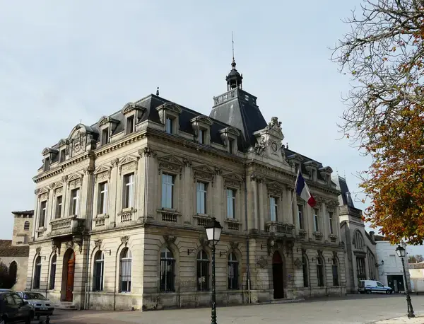 Monte Escalier Qualité Pose monte escalier Coutras