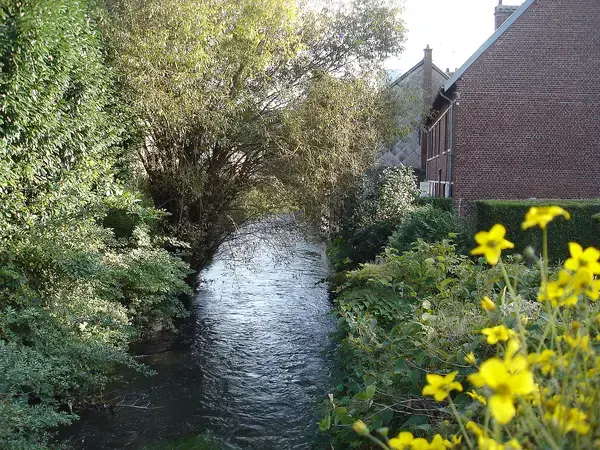 Monte Escalier Qualité Pose monte escalier Déville-lès-Rouen