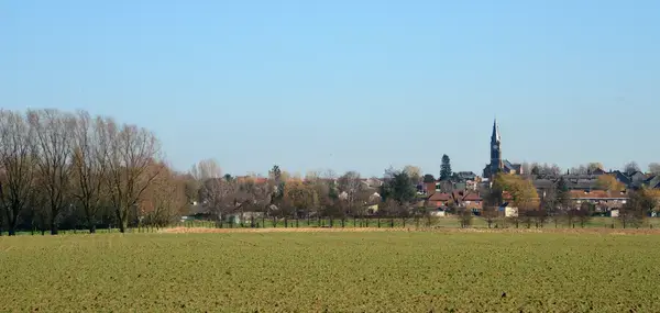 Monte Escalier Qualité Pose monte escalier Halluin