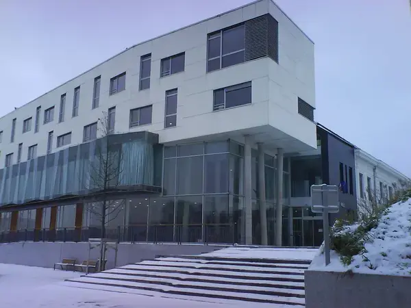 Monte Escalier Qualité Pose monte escalier Haubourdin