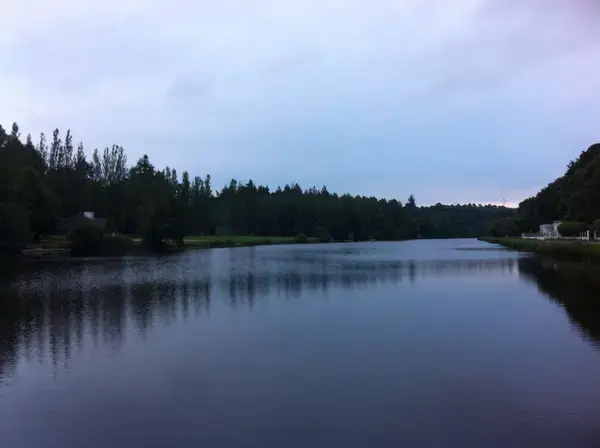 Monte Escalier Qualité Pose monte escalier Inzinzac-Lochrist