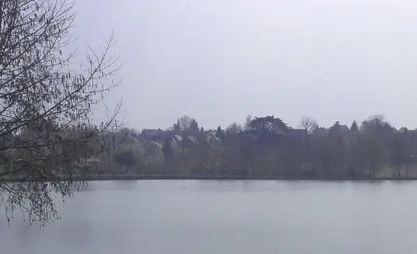 Monte Escalier Qualité Pose monte escalier La Bazoge