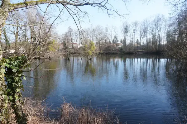 Monte Escalier Qualité Pose monte escalier La Chapelle-Saint-Luc