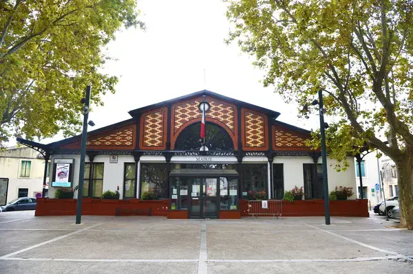 Monte Escalier Qualité Pose monte escalier Lansargues