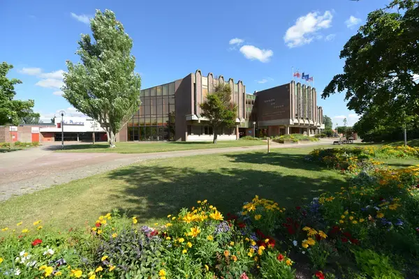 Monte Escalier Qualité Pose monte escalier Leffrinckoucke