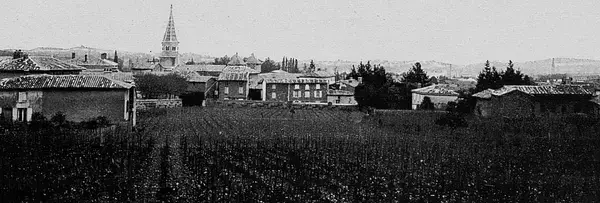 Monte Escalier Qualité Pose monte escalier Limas