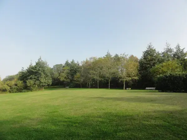 Monte Escalier Qualité Pose monte escalier Montigny-en-Gohelle