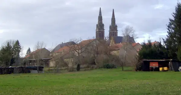 Monte Escalier Qualité Pose monte escalier Munster