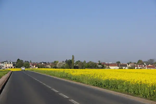 Monte Escalier Qualité Pose monte escalier Noiseau