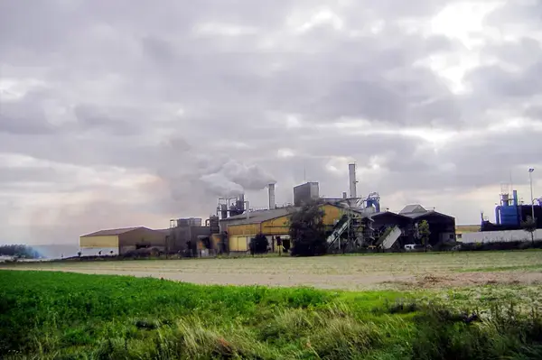 Monte Escalier Qualité Pose monte escalier Ormes