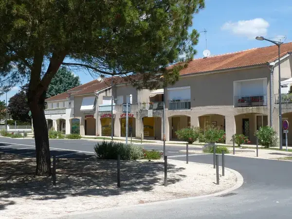 Monte Escalier Qualité Pose monte escalier Pineuilh