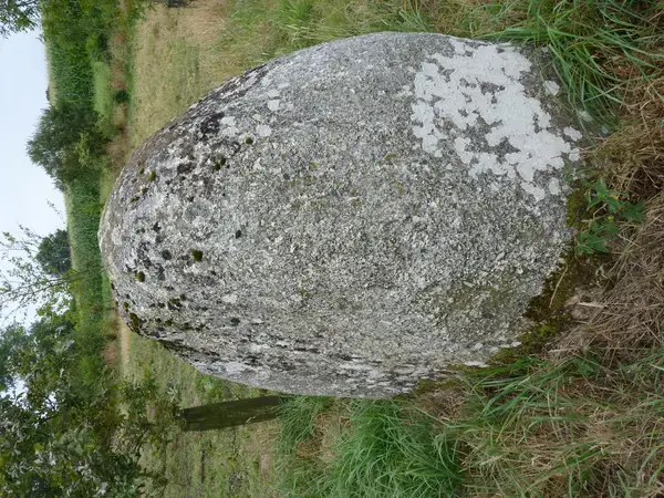 Monte Escalier Qualité Pose monte escalier Plaintel