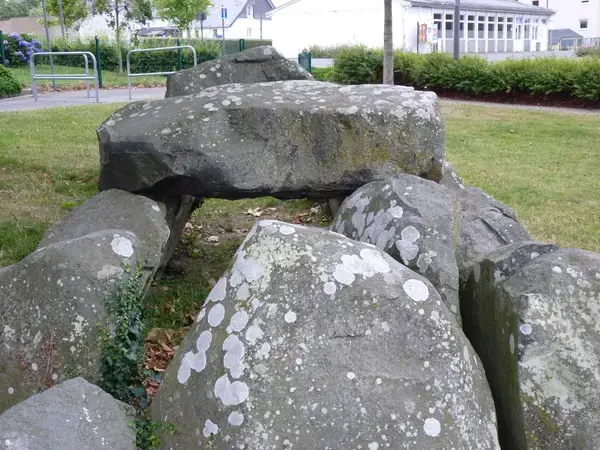 Monte Escalier Qualité Pose monte escalier Ploufragan