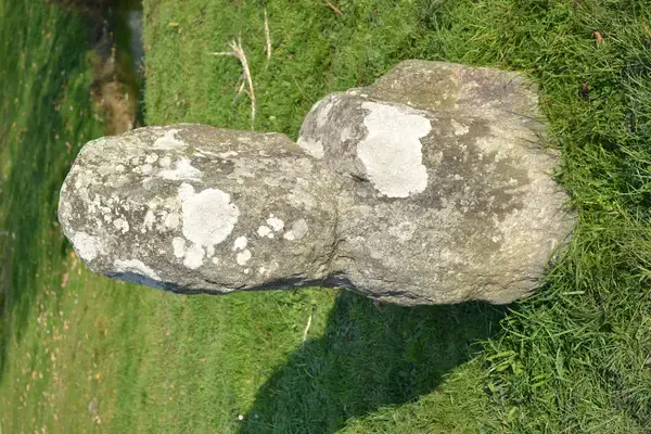 Monte Escalier Qualité Pose monte escalier Prinquiau