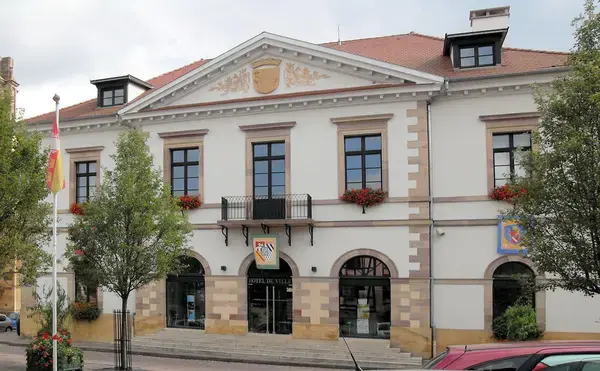 Monte Escalier Qualité Pose monte escalier Rouffach