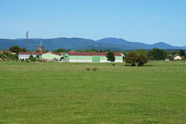 Monte Escalier Qualité Pose monte escalier Roye