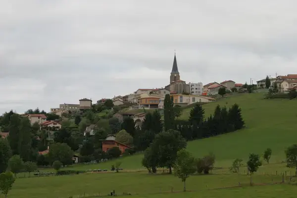 Monte Escalier Qualité Pose monte escalier Saint-Christo-en-Jarez