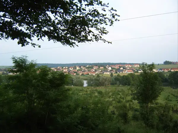 Monte Escalier Qualité Pose monte escalier Woustviller